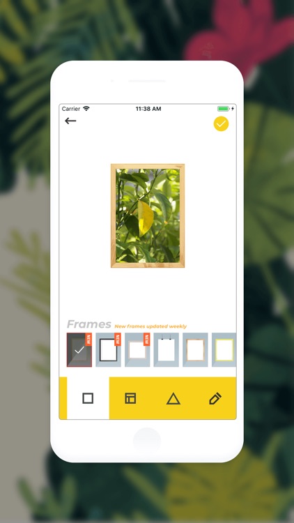 Get Multi WallFrame Collection