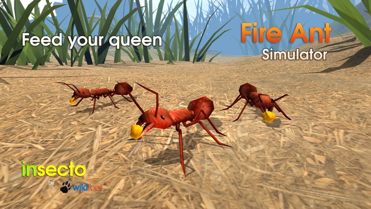 Fire Ant Simulator screenshot-3