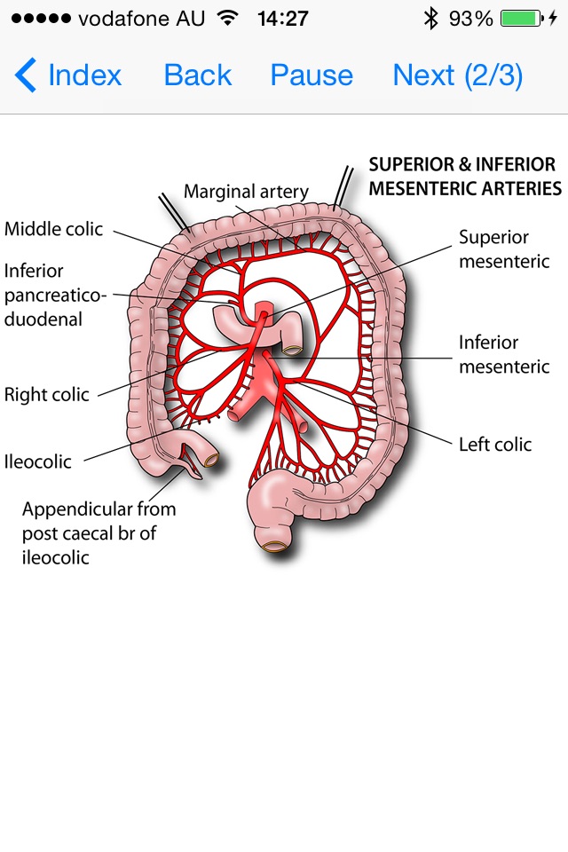 Tricky Areas of Anatomy screenshot 4