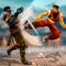 You are welcome in the battle zone professional kung fu fights