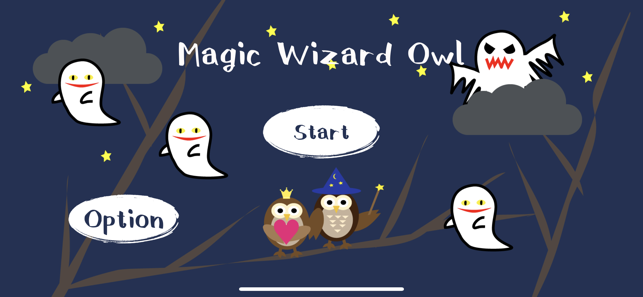 Magic Wizard Owl