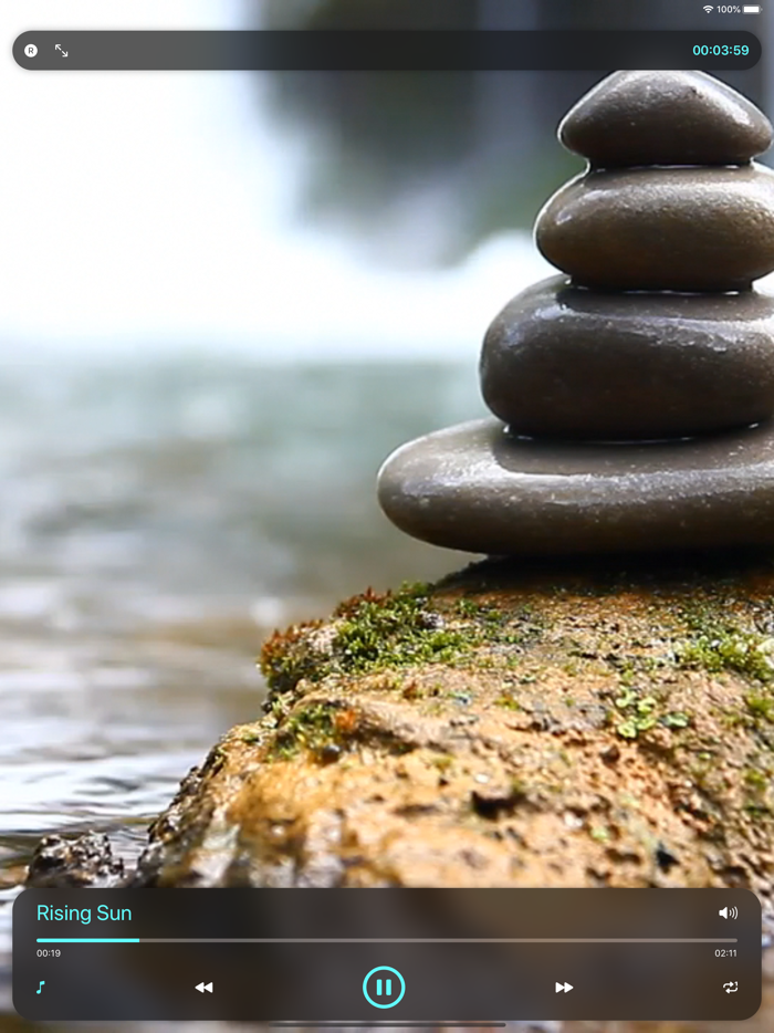 Tranquility Zen Spa Universe