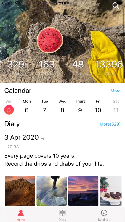 TenYear Diary - journal & memo