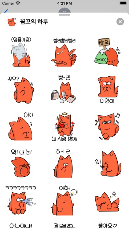 꼼꼬의 하루
