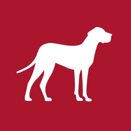 Karndean Designflooring