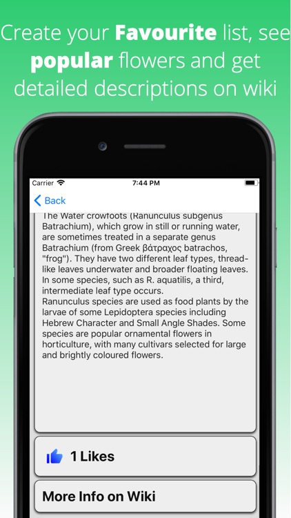 Flowers Dictionary screenshot-3