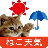 猫天気〜天気予報＆可愛い猫写真〜 apk