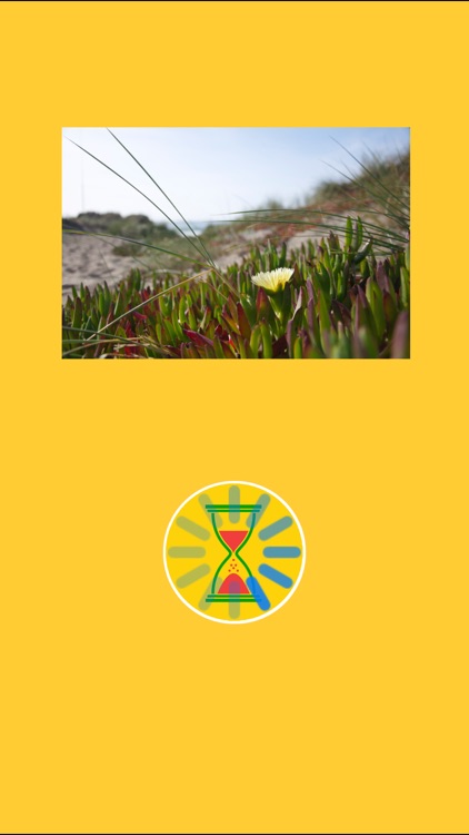 Image Web Search Pro