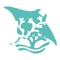 Kihaa offers its guests the opportunity to discover, pre-plan and book their adventures and experiences that await them at the Jewel of the Ocean resort in the Unesco Bioshphere Reserve in the Maldives’ Baa Atoll
