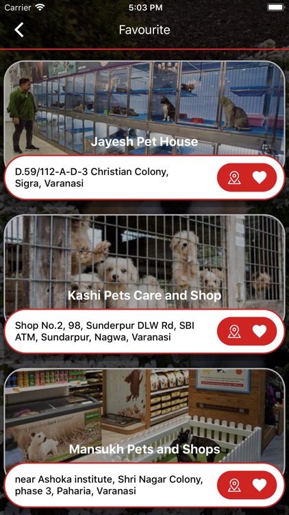 Varanasi Pet Shops