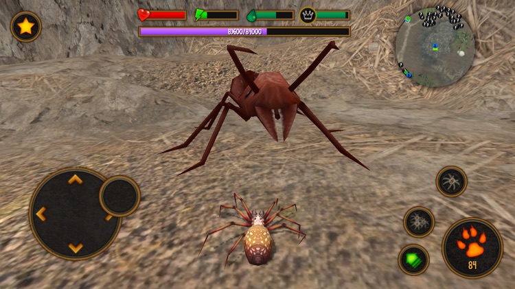 Life Of Spider screenshot-4