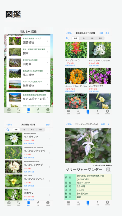 花しらべ 花認識 花検索 Iphoneアプリ Applion
