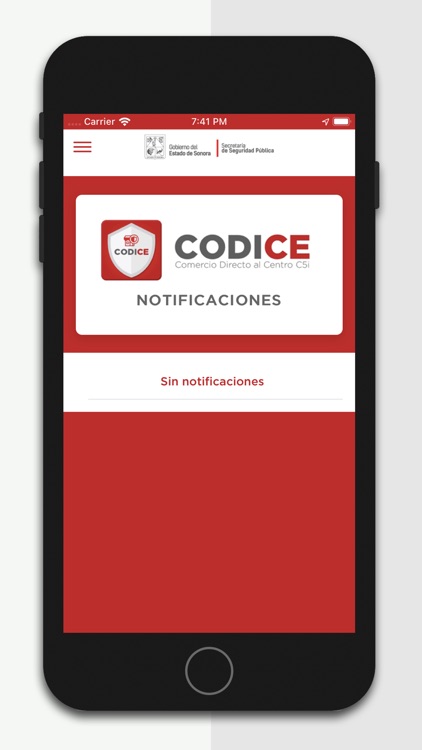 CODICEC5i screenshot-5