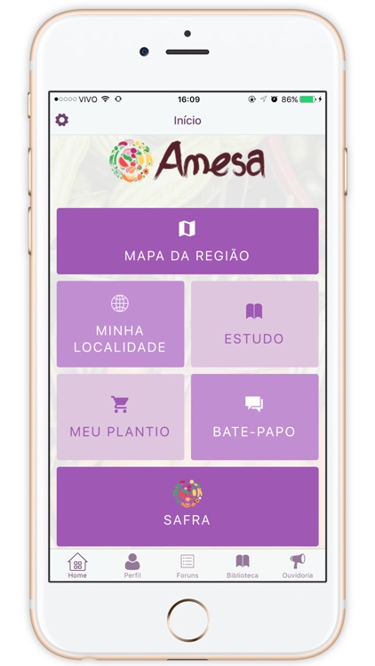 AMesa