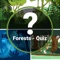  Forests Quiz App has an amazing set of Forests related questions categorized into levels as per your knowledge, you have to select the right answers from the given options in the time limit