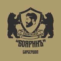 БОЯРИНЪ sur PC