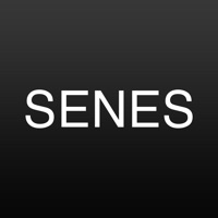 Senes Paris pour PC