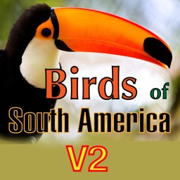 Birds of South America