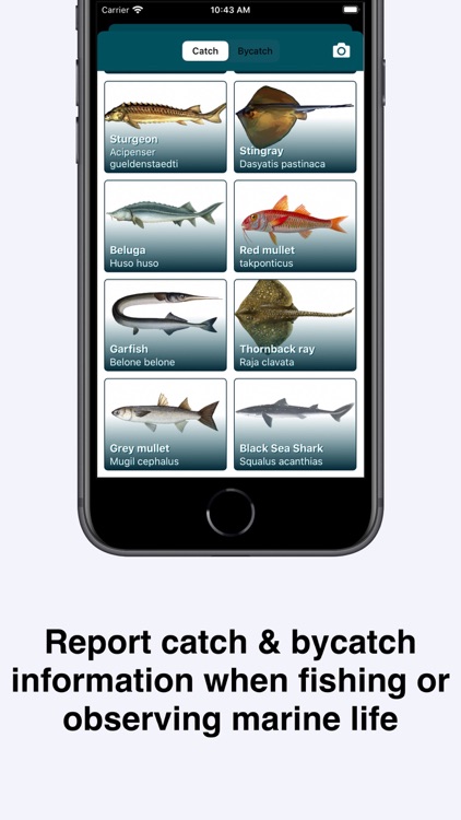 NetGuard - Reduce Bycatch