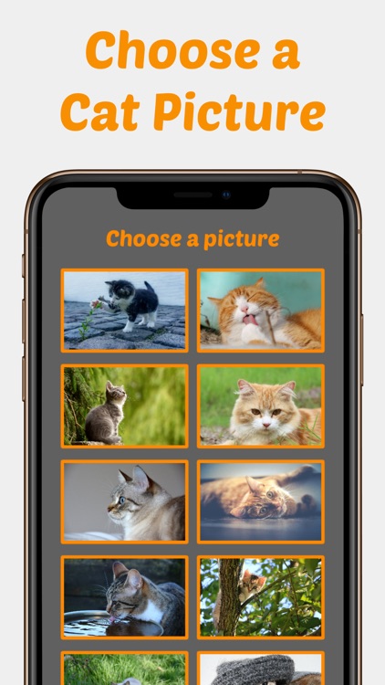 Cute Kitten Photos Puzzle