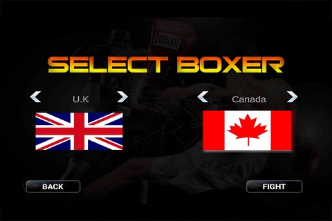 Real 3D Boxing Punch Pro screenshot 4
