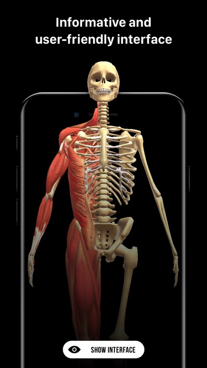 Discover Human Body AR screenshot-4