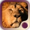 Fulfill your potential and access the best of yourself now