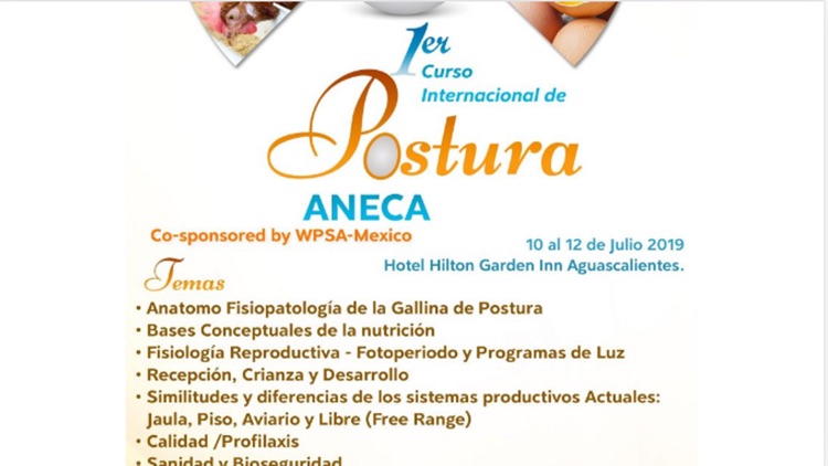 Aneca AC screenshot-7