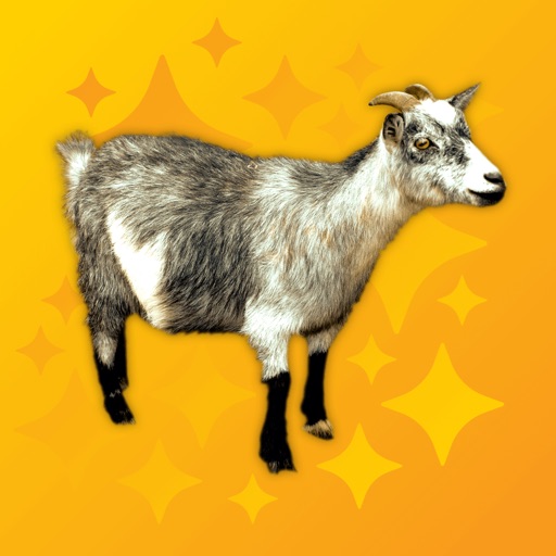 Baa Pro - Goat Sounds icon