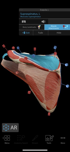 Human Anatomy Atlas 2019(圖3)-速報App