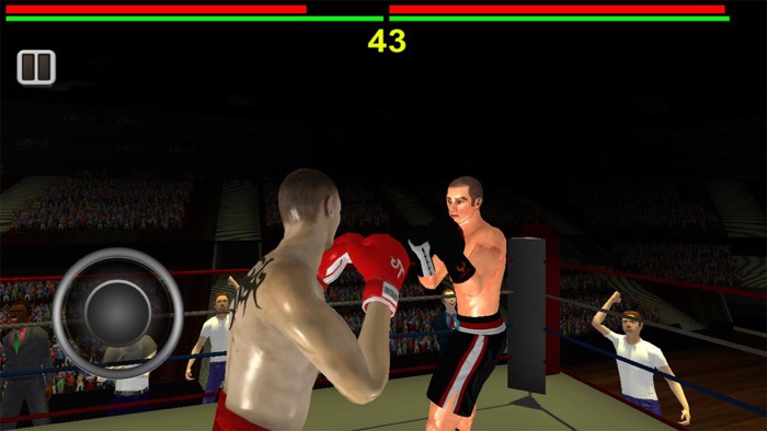 Real 3D Boxing Punch Pro
