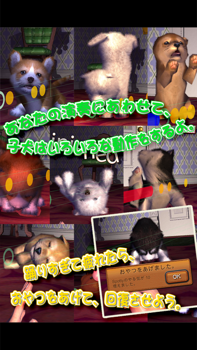 動物ダンス 子犬 screenshot1