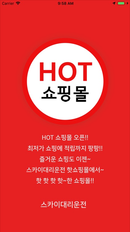 스카이대리운전