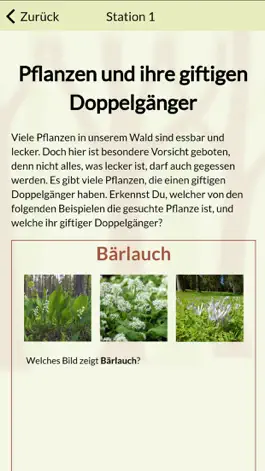 Game screenshot Buchenwaldmeister Angelbachtal apk