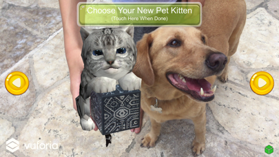 How to cancel & delete AR Kitten for Merge Cube from iphone & ipad 2
