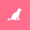 This is a cat appreciation app, a gathering place for people who like cats, where you can check out other people's posts and post about cats yourself