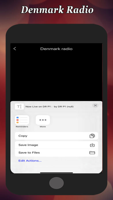 Denmark Radio screenshot 3