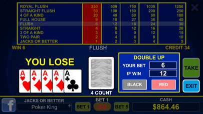 Video Poker World screenshot 3