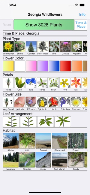 Georgia Wildflowers(圖1)-速報App