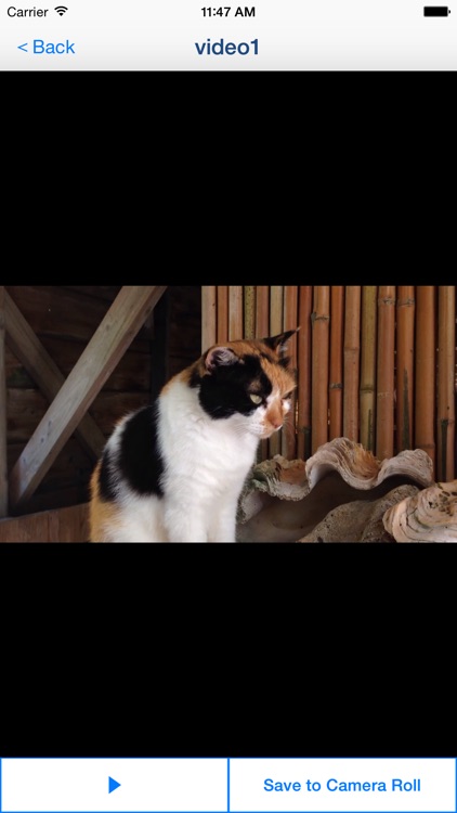 Video 2 CameraRoll Home Video