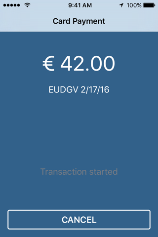 Adyen screenshot 2