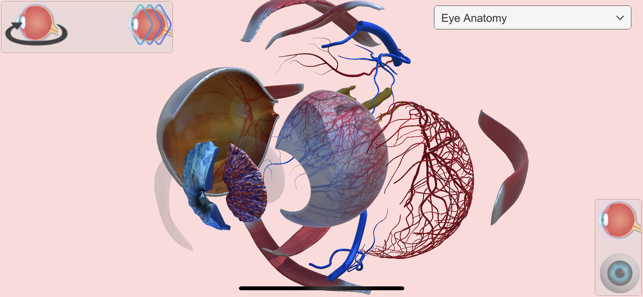 ‎Eye Anatomy Atlas Screenshot