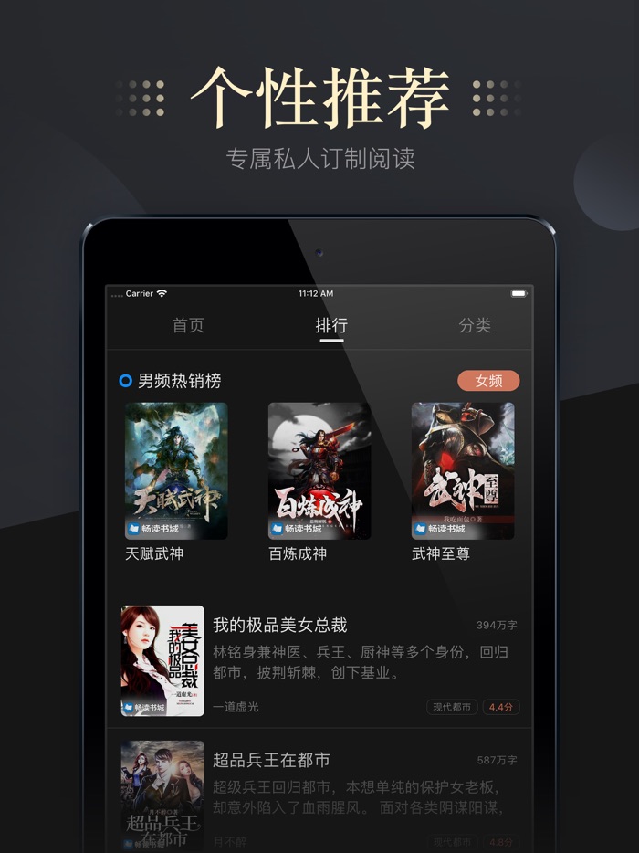 畅读小说-热门电子小说阅读器