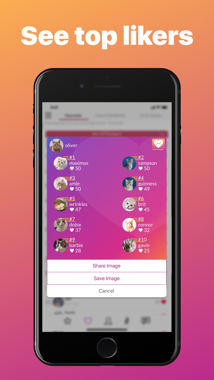 Liker Analyzer for Instagram