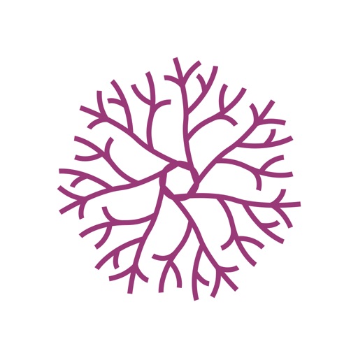 Reconcept Portfolio Neurologie icon