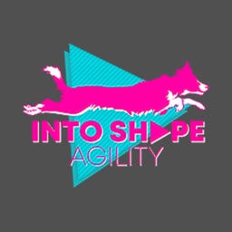 Into Shape Agility