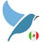 Icon Bluebird: Mexican Spanish
