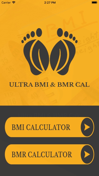 Ultra BMI BMR Calc