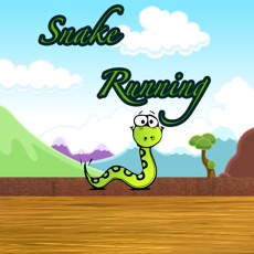 Activities of Snake Running