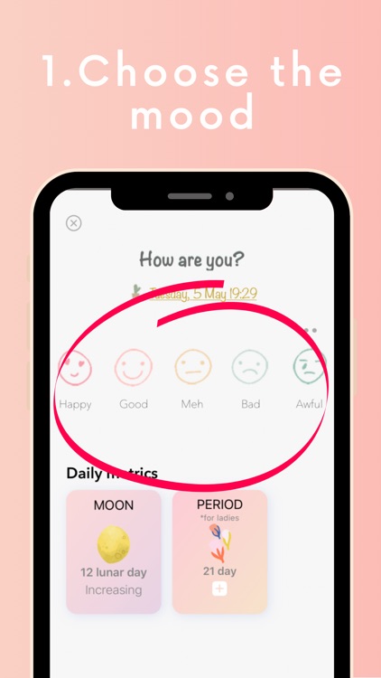 2Day Diary: Mood&Moon&Period screenshot-4